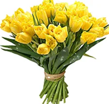 Gửi ảnh trước khi giao