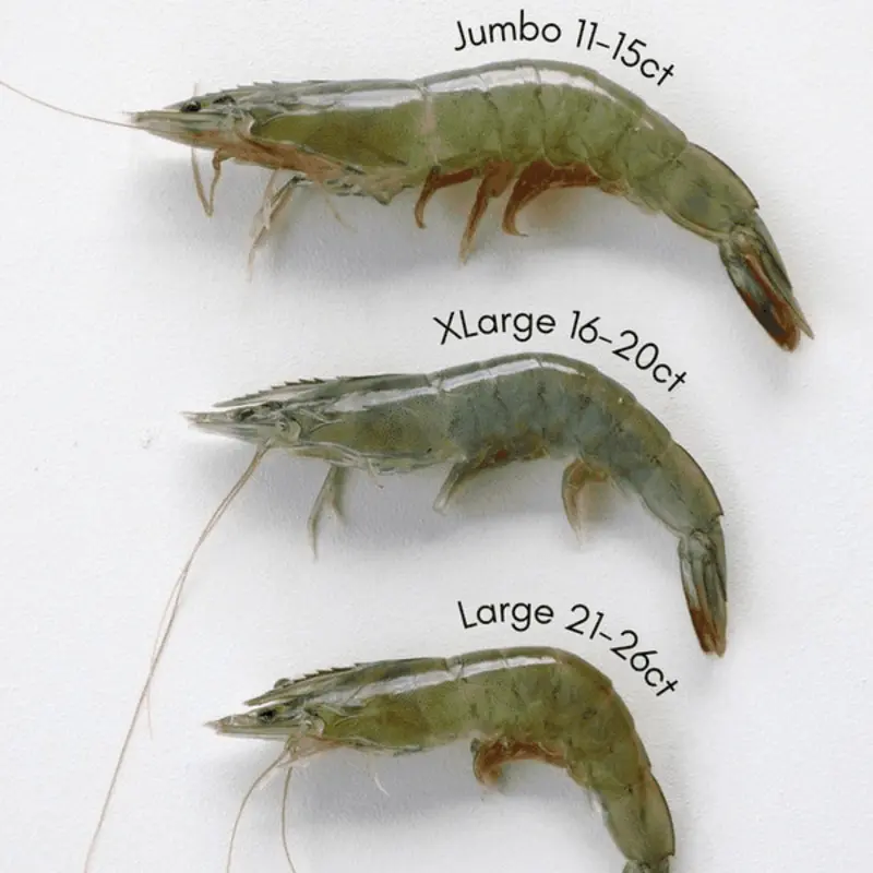 Tôm sú size jumbo