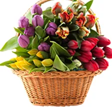 Hoa Cưới Cầm Tay Hồng Phấn