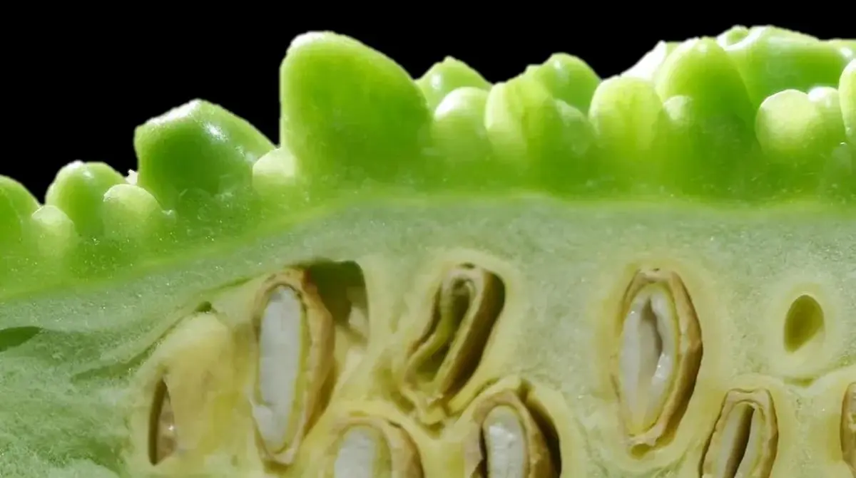 Khổ Qua Rừng Xào Trứng