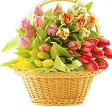 Bình Hoa Hướng Dương Để Bàn