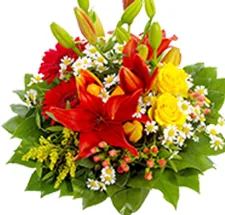 Hoa chúc mừng