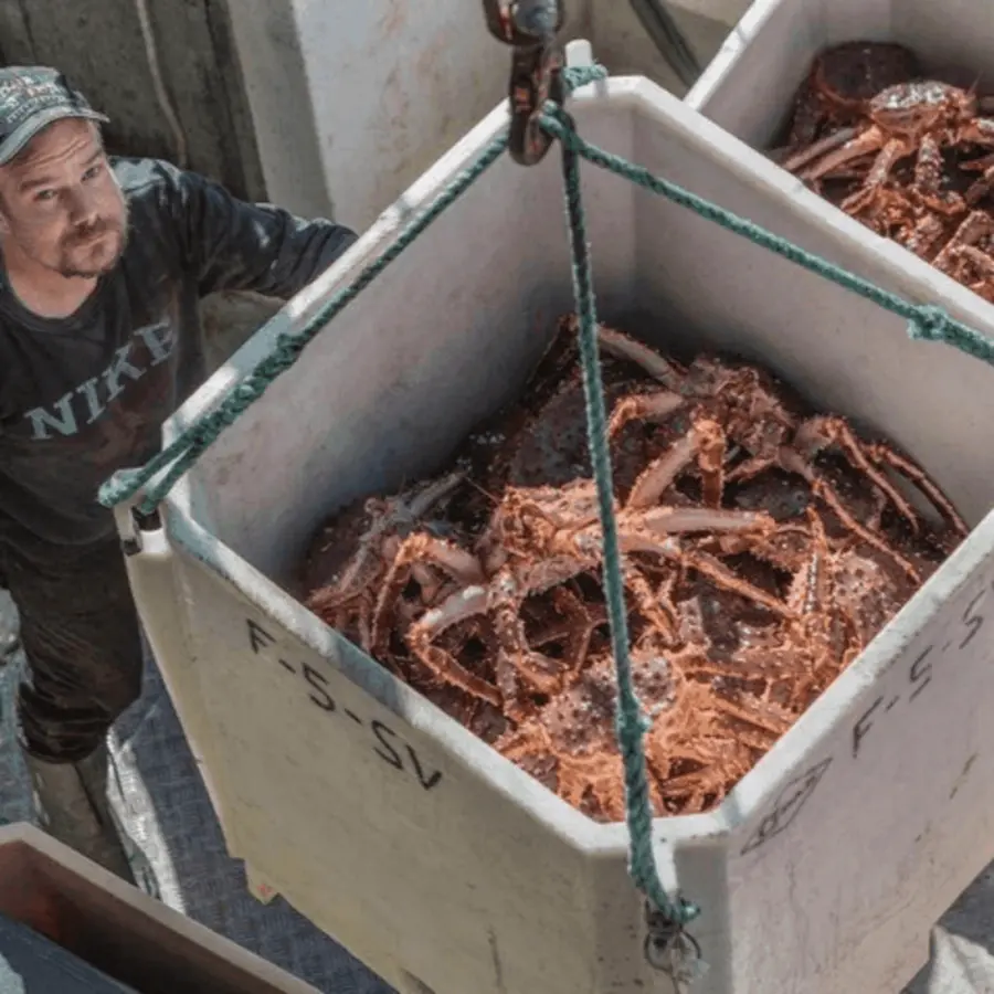 Mẫu hải sản tươi sống