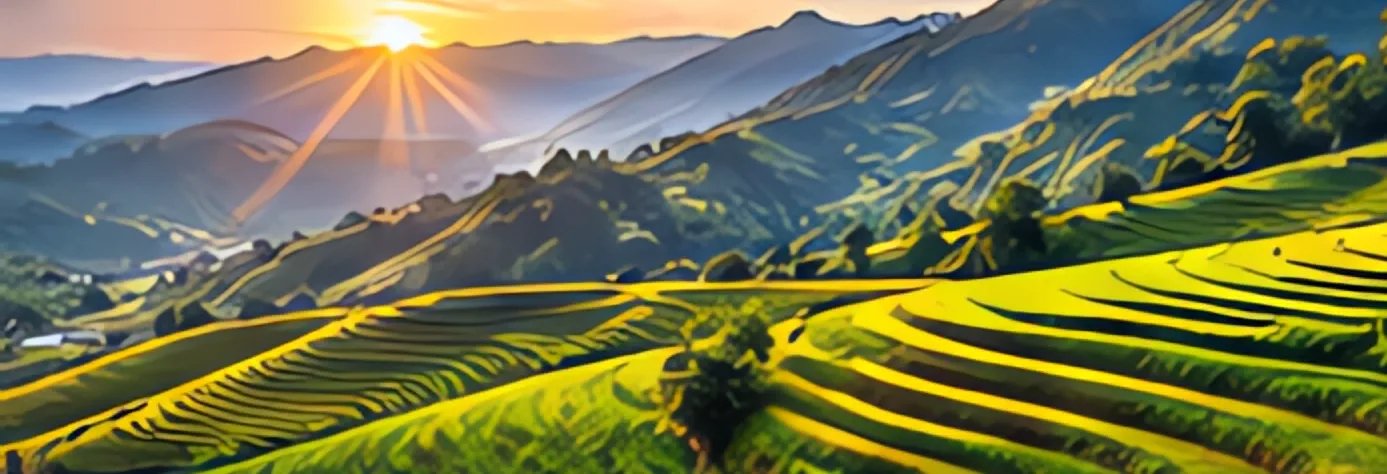 Ruộng bậc thang thung lũng Mường Hoa vào mùa lúa chín tháng 9