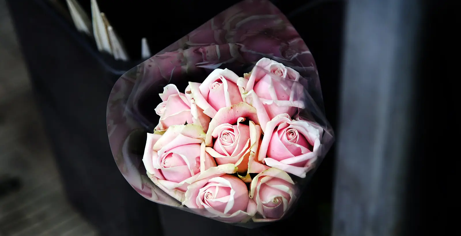 Hồng phấn gói tay cho lời yêu thương.